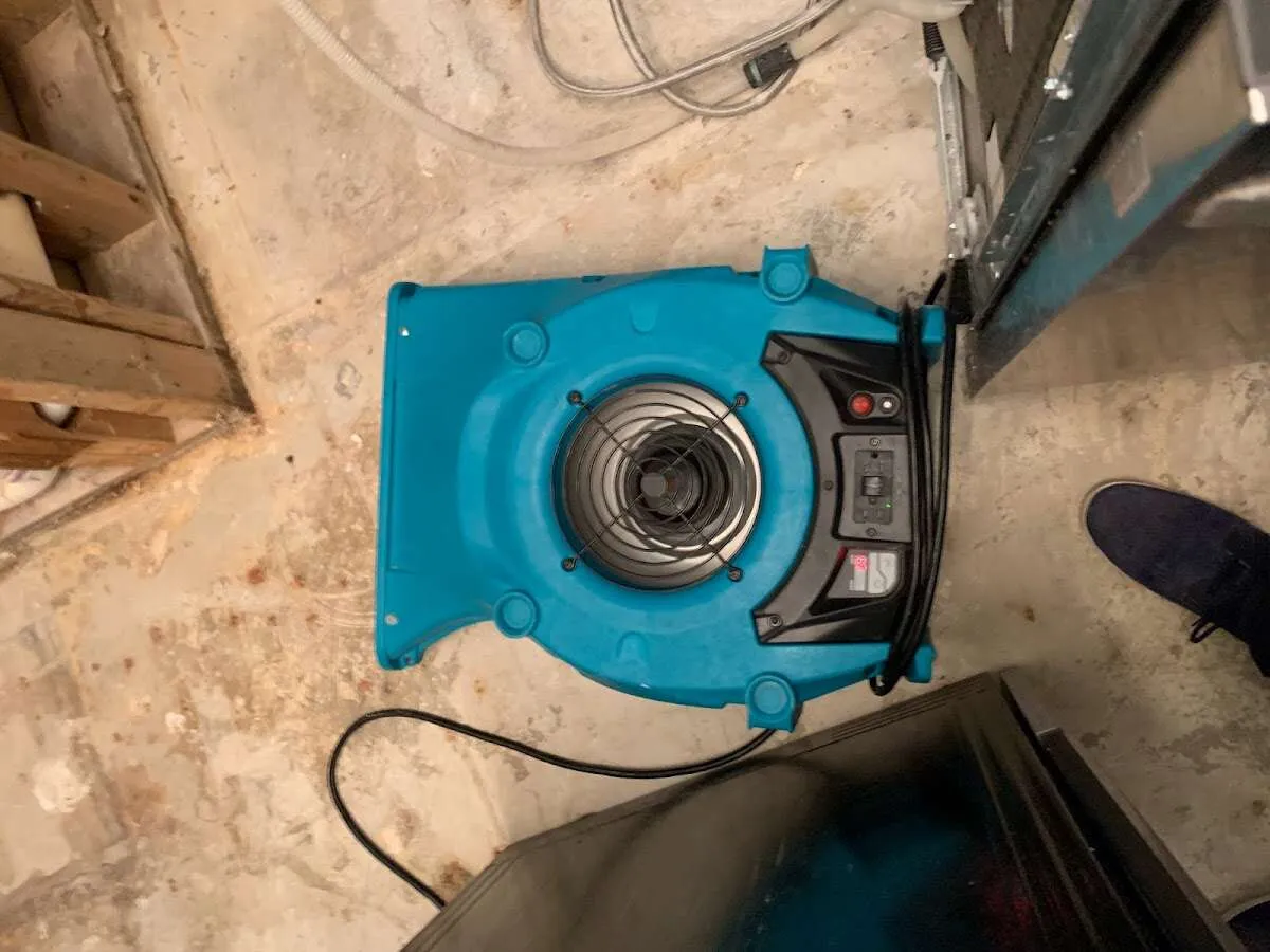 Air mover drying equipment for Mold Remediation & Removal in Astoria