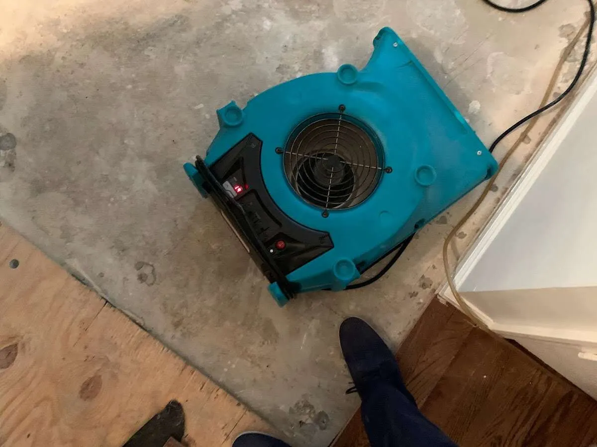 Air mover drying subfloor during Commercial Water Damage Restoration in Astoria